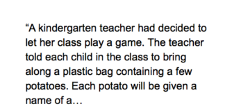 Kindergarten Teacher