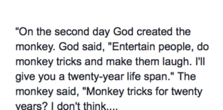 Pastor Perfectly Breaks Down The Meaning Of Life