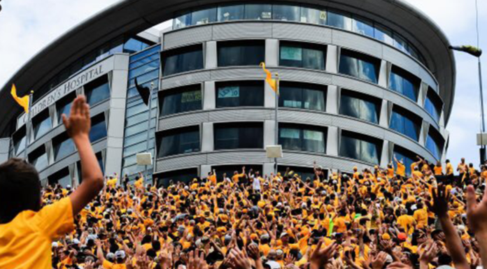 Tired of bad news? Here are 11 great stories you haven't heard.